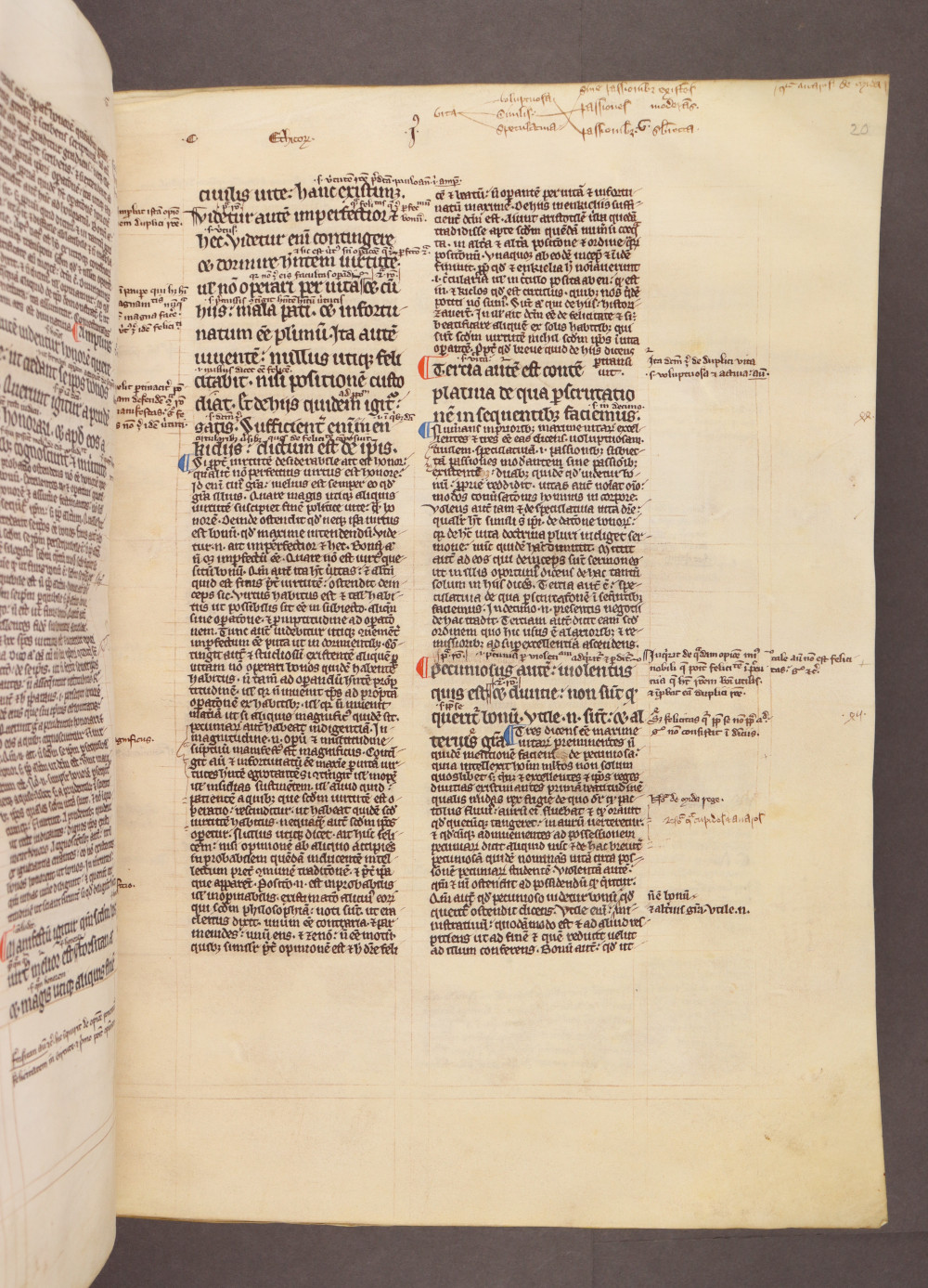 Folio 20 recto